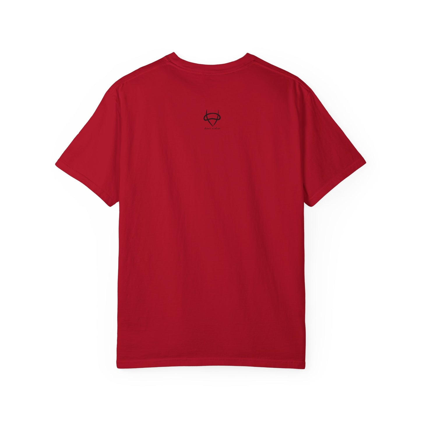 True Compass Unisex T-Shirt - Deus Oculus Brand Graphic Tee
