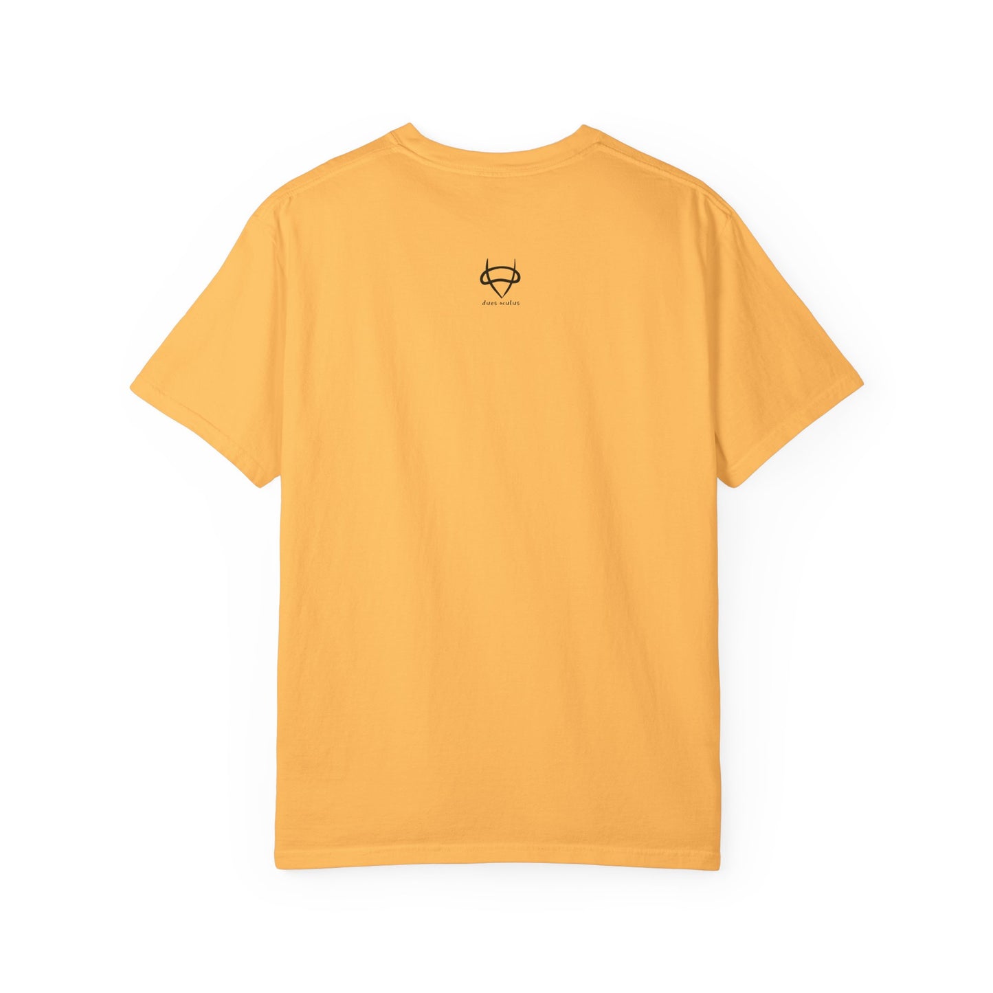 True Compass Unisex T-Shirt - Deus Oculus Brand Graphic Tee